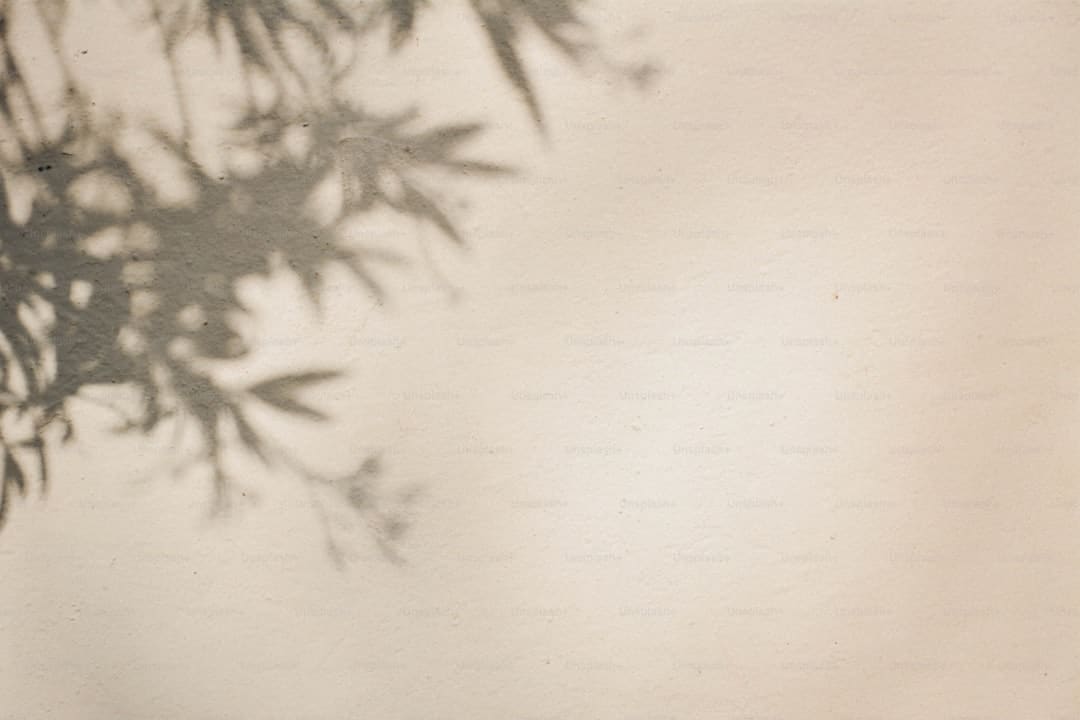 手表辨别方向的方法